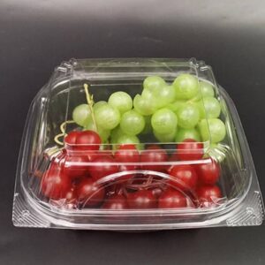 حافظ طعام شفاف